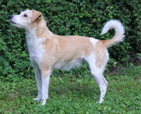 Wilma-m.jpg